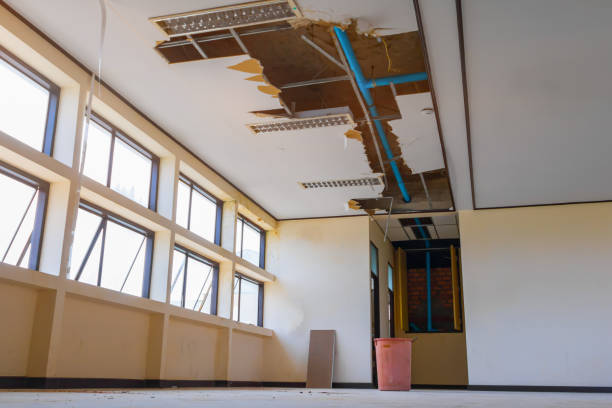Best 24-hour water damage restoration  in Hauppauge, NY