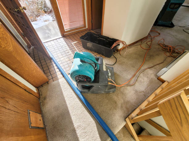 Best Water damage mitigation services  in Hauppauge, NY