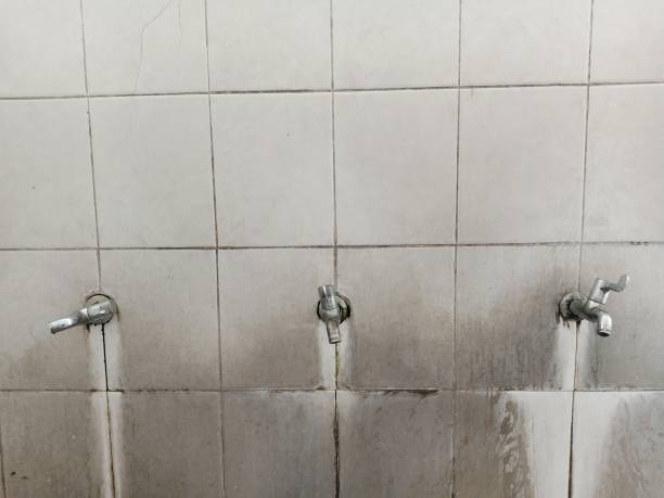 Best Water damage contractors near me  in Hauppauge, NY