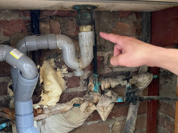 Best Water damage restoration company  in Hauppauge, NY